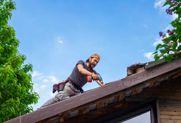 Best Flat Roofing  in Birch Run, MI