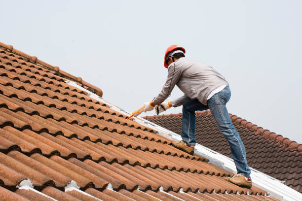 Best Commercial Roofing Services  in Birch Run, MI