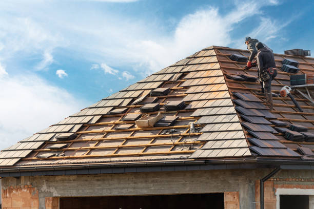 Best Rubber Roofing (EPDM, TPO)  in Birch Run, MI