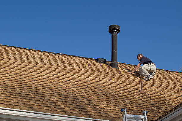 Best Roof Leak Repair  in Birch Run, MI